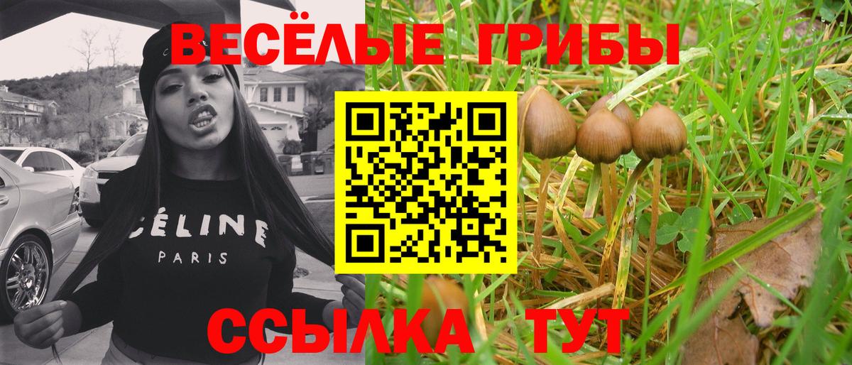 Галлюциногенные грибы мицелий  Вход с VPN  Красный Сулин 