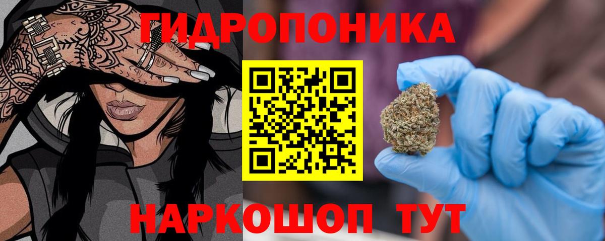 Шишки марихуана OG Kush Красный Сулин